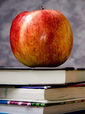 手机号轰炸在线